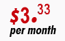 Platinum Hosting - $3.33 per month