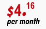 Platinum Hosting - $4.16 per month